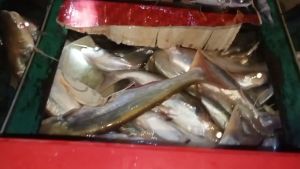 Buatan Taiwan Samus 1600G 6000W DC 12v Senar CNC Cerdas Output Silikon Ganda Elektronik Tegangan Tinggi