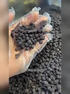 Bữa ăn nhẹ dinh dưỡng handmade sẵn sàng để ăn
