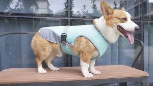 Rompi Anjing HARPO11 Baju Rompi Anti Panas Candy Pet Dog Cooling Vest