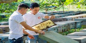 [ Mã giảm 100k có hạn ] Mật ong nguyên chất hoa cà phê bộ 2 chai thủy tinh 1 lít ( mỗi chai 500ml)- CAM KẾT CHẤT LƯỢNG - GIAN HÀNG CHÍNH HÃNG