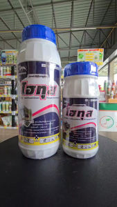 ไฮทุส(เฟนไพร็อกซิเมต (Fenpyroximate) กำจัดไรแดงและไรศัตรูพืชชนิดต่าง ๆ ที่พบในพืชผลไม้ พืชผัก และไม้ดอกไม้ประดับ `ใช้น้อยออกฤฤทธิ์นาน ใช้เพียง 5-10cc/น้ำ 20 ลิตร