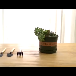 Set of 3 Mini Gardening Tools Alat Mini Berkebun Succulent Cactus 园艺工具 迷你园林三件套 多功能家庭盆栽施肥松土铲 TOLUS