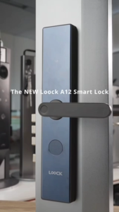 LOOCK A12 Digital Door Lock | 6-in-1 Entry with Fingerprint & TTLock App | Smart Lock with RFID & Mechanical Key