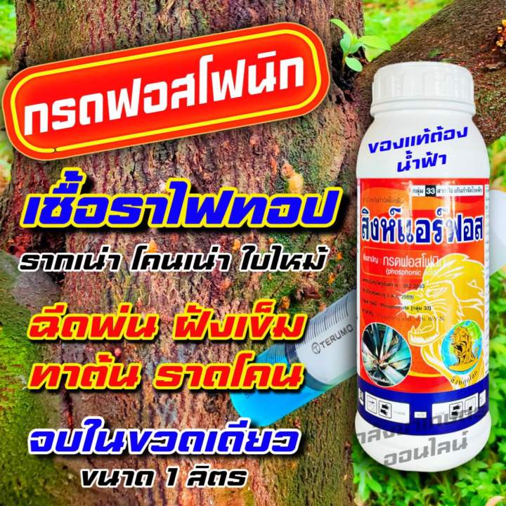 สิงห์แอร์ฟอส 1 ลิตร 🛑 กรดฟอสโฟนิก 40% สารกำจัดโรคพืช โรคเน่า รากเน่า ...