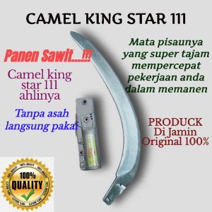EGREK CAMEL KING STAR 111 EGREK ORIGINAL EGREK TANPA ASAH EGREK MALAYSIA EGREK SAWIT BERKUALITAS