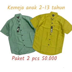 PAKET 2 PCS KEMEJA ANAK LENGAN PENDEK 2-8 THN TERBARU BEST SELLER