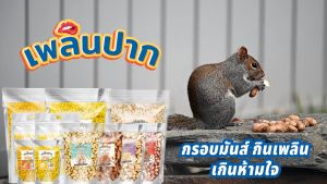 ถั่วอัลมอนด์อบ ตรามีม่อน ถั่วอัลมอนด์ อบ พร้อมทาน ไม่ปรุงรส (Almonds)