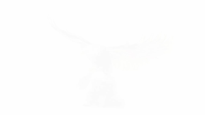 Play N Learn 3D Jigsaw Puzzle Crystal Eagle- Brain Teasers For All Ages