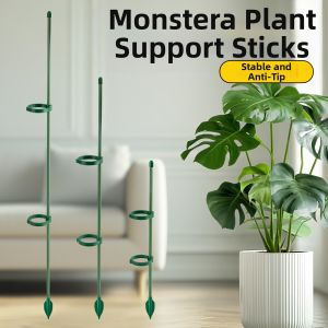 TAOKOU | Anti-fall Support Plant Stake