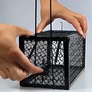 MUSCLE COW กรงดักหนูสปริง2ตัวโครงหนา ที่ดักหนู กรงดักหนู กับดักหนู กรงดักหนูแบบมีโครง สปริงคู่ กรงดักหนูนา กรงดักหนูเล็ก กระบวนการเข้าถึงผลิตภัณฑ์ที่ดีที่สุด