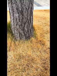 Squishy Jumbo Bebek Duck Lucu / Stress Ball Ukuran Besar / Penghilang Stress Mainan Squishy Viral