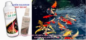 Vi Sinh PROBIO 365 Giúp Cá Tăng Sức Đề KhángTăng Cường Lợi Khuẩn giúp trong nước khử mùi Gói chiết 125g BAO BÌ MỚI