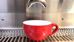 DOIWHAN กาแฟคั่ว โบลาเวน LAOS