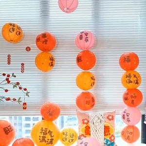 30cm Spring Festival Paper Lantern CNY Beautiful DIY Chinese Home Decor Party Wedding Mid-autumn Festival Lantern Festival 印花灯笼 元宵春节婚庆纸灯笼