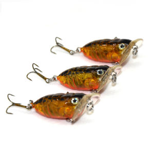 TAKEDO RL12 New Design Topwater Trout Fishing Lure Hard Plastic 4cm 4.4g 8# Hook Insect Bait Cicada Fishing Lure
