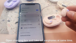 X55 Portable Wireless Bluetooth Sleeping Eabuds Waterprrof Hi-Fi Sound Noise Cancelling Earphone