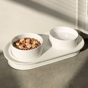 JIELEYOU | Pet Dual Feeding Bowl Non-Spillage