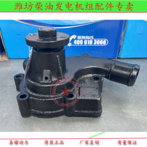 Weichai Ruili Wp3.1 Wp4.1 Engine Dry Tractor Professional Water Pump 2190564 Origional Product Authentic