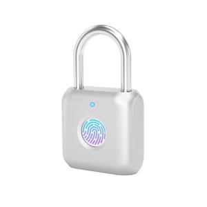 eLinkSmart | Smart Fingerprint Lock for Large Home Storage Cabinets