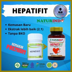 Obat Hepatitis A B C Liver Sakit Kuning Sirosis Hati Berlemak Kapsul Herbal Hepatifit Naturindo