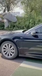 Bạt 4-7 chỗ phủ ô tô bán tải che trùm xe hơi 3 lớp loại dày 3kg có khóa kéo mở cửa tráng bạc phản nhiệt chống nước