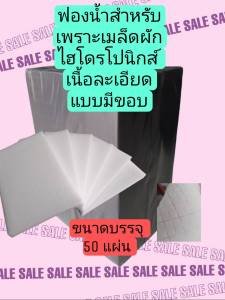ฟองน้ำเพราะเมล็ดผักไฮโดรโปนิกส์เนื้อละเอียดขนาดมาตรฐาน 1" x 1" x 1" ชุด 50 แผ่น แบบมีขอบ+