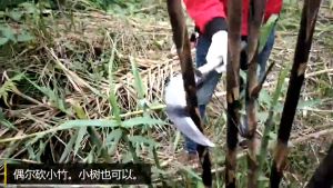 Multi-Function Manganese Steel Sickle for Garden & Outdoor Farming