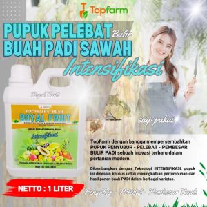 Pupuk Pelebat Buah / Pupuk Semprot Khusus Padi / Obat Padi Sawah / Obat Padi Biar Buah Berbobot / Obat Padi Untuk Hama Wereng / Obat Padi Sundep Paling Ampuh / Obat Padi Sawah Mati Pucuk
