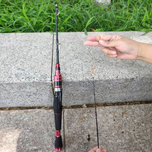 Small Sea Fishing Rod 60 80cm 1 M Portable Ultra Short Section Mini Fishing Rod Fishing Casting Rods Rock Fishing Rod Ice Fishing Lure Rod