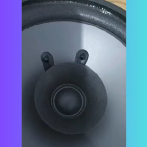 Pcinener Speaker Pintu Mobil 5 Inch full bass Subwoofer HiFi 400W 1 PCS - TS-501