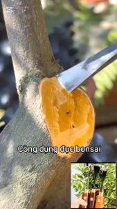 1.Mũi đục bonsai Combo 03 chuyên dụng hàng thủ công Việt Nam [DUC-015.017.018]