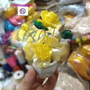 Chậu bông hoa mai nhí để bàn xinh yêu thu hút tài lộc may mắn