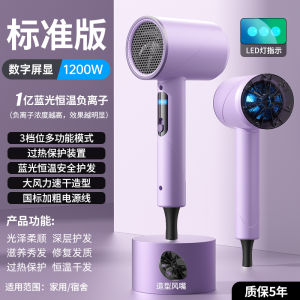 Bàn Phím Nhiệt Độ Máy Sấy Tóc Cao Tốc Độ Cao Cấp Salon Nhà Máy Bảo Vệ Tóc Ion Âm Máy Sấy Gió Mạnh