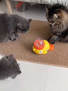 Pet Automatic Feeder Cat and Dog Interactive Toy Pet Puzzle Training Feeder