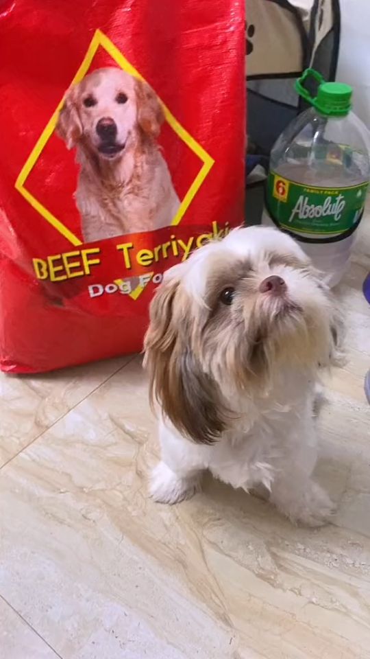 All Stages 1kg Beef Teriyaki Dog Dry Food Dogs Adult Puppy