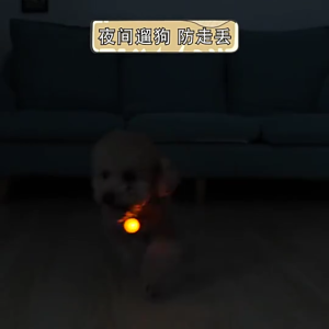 LED Light Up Dog Collar Light Portable Dog Night Light for Large Medium Small Cat Dog Pet Running Camping Climbing Bike Pet Collar Light