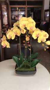 `ดอกกล้วยไม้สีเหลืองจัดในกระถางดอกไม้ประดิษฐ์ตกแต่งบ้าน กระถางสีดำ 10 ครั้ง สำหรับการผ่าตัดและการเปลี่ยนแปลง`