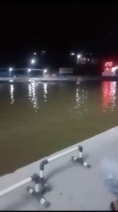 Essen Oplosan Gacor: Senjata Ikan Mas Rame & Babon