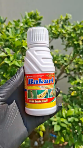 BAKARI 512EC (100ml) - Profenofos + Thiamethoxam + Chlofluazon : trừ sâu đục thân bọ trĩ sâu cuốn lá rệp sáp tuyến trùng sâu vẽ bùa nhện đỏ bọ trĩ bọ hà