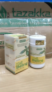Kapsul herbal keji beling tazakka isi 60 kapsul membantu memluluhkan batu ginjal