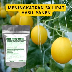 Pupuk Booster Blewah Pelebat Organik Cepat Berbuah Lebat Besar Anti Rontok Pembesar Blewah