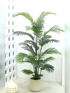 94cm Lutescens Bamboo Palm: A Big Size Indoor Plant for Home & Garden Decoration