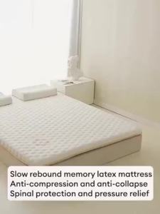 MAIA Memory cotton mattress bedroom tatami latex mattresses high-density sponge mattresses