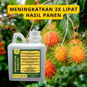 Pupuk Pelebat Rambutan / Pupuk Buah Rambutan / Pupuk Booster Rambutan / Pupuk Rambutan