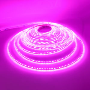 DC 12V 24V 2835 180LEDs/M LED Strip Warm/Natural White IP21 Flexible Ribbon Tape Rope Light 5M 10M/Roll