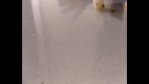 Mesin Electric Popcorn Maker Popcorn Machine High Popping Rate Fully Automatic Electric Air Popper Mini Popcorn Machine 60g - Red