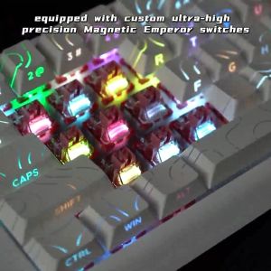 LANGTU MC68 Wired Magnetic Switch Mechanical Keyboard 8Khz Return RT 0.01 Precision Gaming Keyboards
