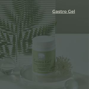 Thực phẩm bảo vệ sức khỏe New Nordic Gastro Gel [60 viên] - Viên uống hỗ trợ giảm axit dịch vị giúp bảo vệ niêm mạc dạ dày giảm ợ hơi ợ chua do viêm loét dạ dày - tá tràng