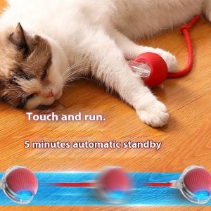HATELI Interactive Cat Toy Ball Super Drive Cat Rolling Balls Motion Activated Sensor Pet Kitten Teaser Game Toys