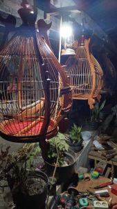 Sangkar Burung Perkutut